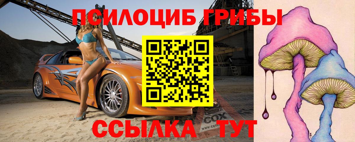 Галлюциногенные грибы ЛСД Новоалександровск