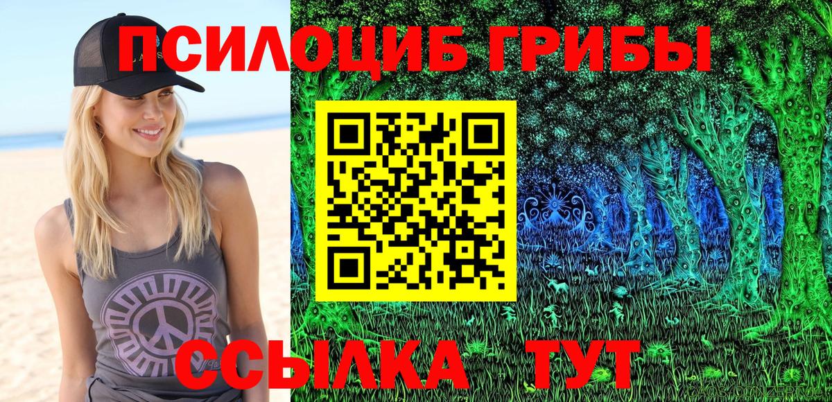 Галлюциногенные грибы Psilocybe  Вход с VPN  Новоалександровск 