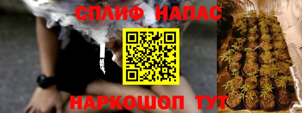 Новоалександровск  Марихуана марихуана  Бошки Шишки семена  Вход с VPN  МАРИХУАНА план 
